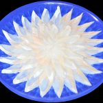 FSS004